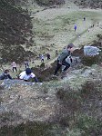 Click on thumbnail for larger photo