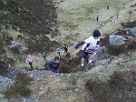 Click on thumbnail for larger photo