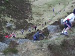 Click on thumbnail for larger photo