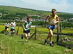 Click on thumbnail for larger photo