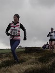 Click on thumbnail for larger photo