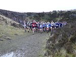 Click on thumbnail for larger photo