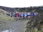 Click on thumbnail for larger photo