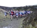 Click on thumbnail for larger photo
