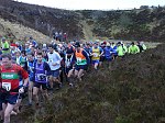 Click on thumbnail for larger photo