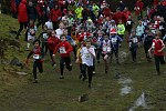 Click on thumbnail for larger photo