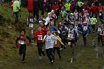 Click on thumbnail for larger photo