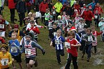 Click on thumbnail for larger photo