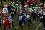 Click on thumbnail for larger photo