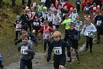Click on thumbnail for larger photo