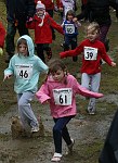 Click on thumbnail for larger photo