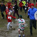 Click on thumbnail for larger photo