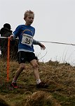 Click on thumbnail for larger photo