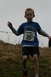 Click on thumbnail for larger photo