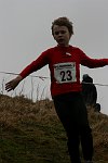 Click on thumbnail for larger photo