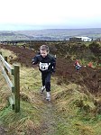 Click on thumbnail for larger photo