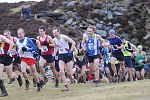 Click on thumbnail for larger photo