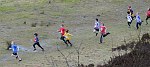 Click on thumbnail for larger photo