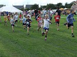 Click on thumbnail for larger photo