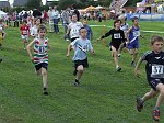 Click on thumbnail for larger photo