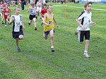 Click on thumbnail for larger photo