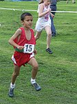Click on thumbnail for larger photo