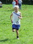 Click on thumbnail for larger photo