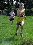 Click on thumbnail for larger photo