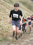 Click on thumbnail for larger photo