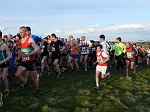 Click on thumbnail for larger photo