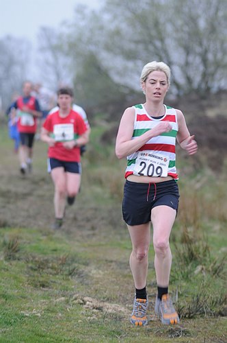 Photo DSC_7571.jpg copyright &copy; 2013 Paul Wood