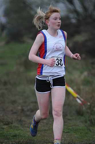 Photo DSC_7611.jpg copyright &copy; 2013 Paul Wood