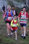 Click on thumbnail for larger photo