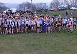Click on thumbnail for larger photo