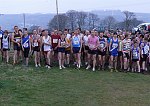 Click on thumbnail for larger photo