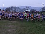 Click on thumbnail for larger photo