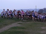 Click on thumbnail for larger photo