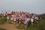 Click on thumbnail for larger photo