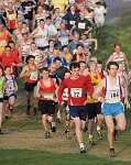 Click on thumbnail for larger photo