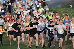 Click on thumbnail for larger photo