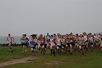 Click on thumbnail for larger photo