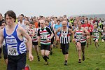 Click on thumbnail for larger photo