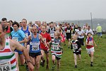 Click on thumbnail for larger photo