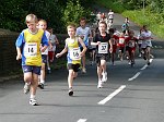 Click on thumbnail for larger photo