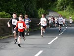 Click on thumbnail for larger photo