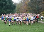 Click on thumbnail for larger photo