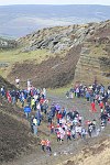 Click on thumbnail for larger photo
