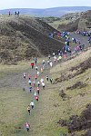 Click on thumbnail for larger photo