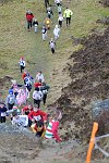Click on thumbnail for larger photo