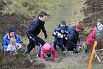 Click on thumbnail for larger photo